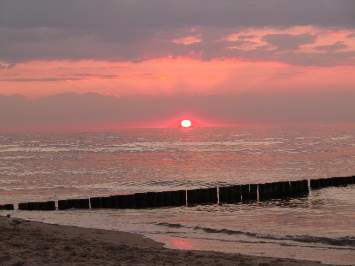 Landhotel Ostseetraum & Fewo Ρόστοκ Εξωτερικό φωτογραφία